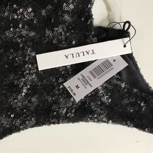 Aritzia Talula Canterbury Dress